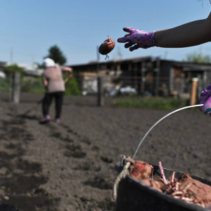 Женщинам перечислили правила безопасной работы на даче